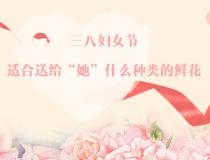 三八婦女節，適合送給“她”什么種類的鮮花？